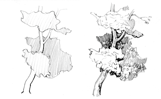 Tree drawing: How to draw a tree